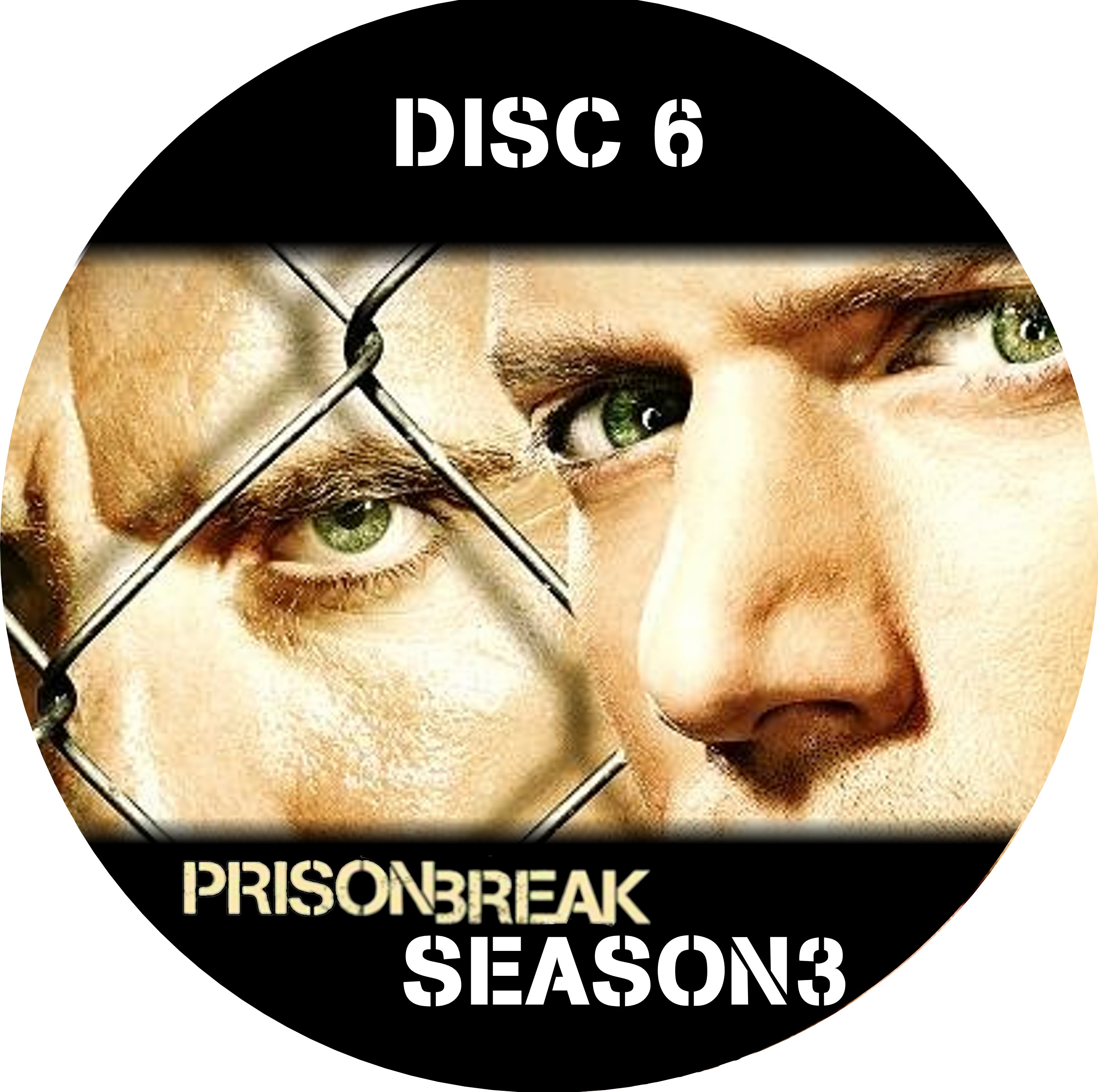 Prison Break Seizoen 3 dvd 6 label