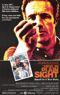 Hide in Plain Sight (1980)