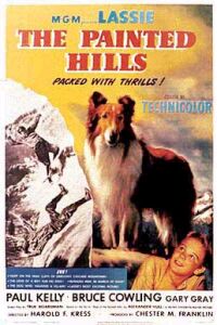 Painted Hills, The (1951)