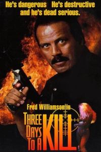 3 Days to a Kill (1991)