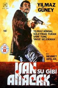 Kan Su Gibi Akacak (1969)