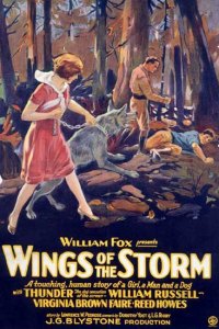 Wings of the Storm (1926)