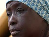 Fen�tre Ouverte, Une (2005)