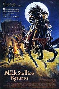 Black Stallion Returns, The (1983)