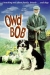 Owd Bob (1997)