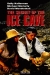 Secret of the Ice Cave, The (1989)