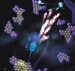 Nucleus (2007)