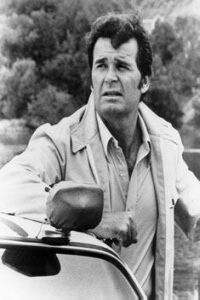 Rockford Files: If the Frame Fits..., The (1996)