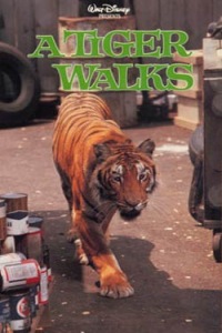 Tiger Walks, A (1964)