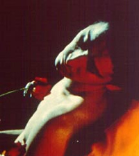 Rosenk�nig, Der (1986)