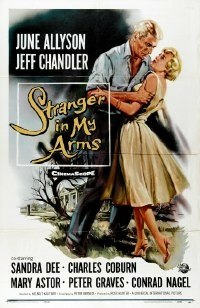 Stranger in My Arms, A (1959)