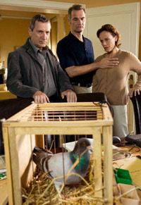 Pik & Amadeus � Freunde wider Willen (2006)