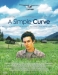 Simple Curve, A (2005)