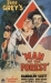 Man of the Forest (1933)